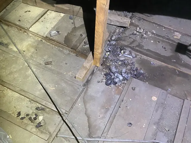 《害獣駆除歴10年》侵入口を徹底封鎖します◎さらに施工後の保証付きで安心◎サービスの画像