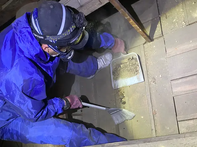 《害獣駆除歴10年》侵入口を徹底封鎖します◎さらに施工後の保証付きで安心◎サービスの画像