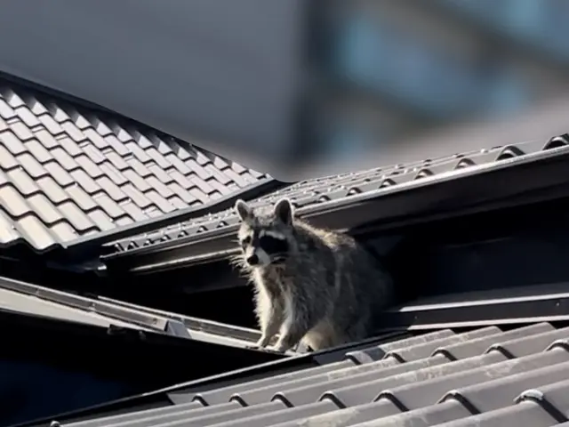 《害獣駆除歴10年》侵入口を徹底封鎖します◎さらに施工後の保証付きで安心◎サービスの画像