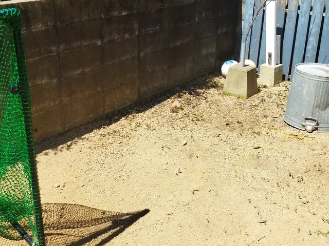 【山口県発】下関、岩国も対応致します！　伐採・抜根でお庭をスッキリ、安全に。サービスの画像