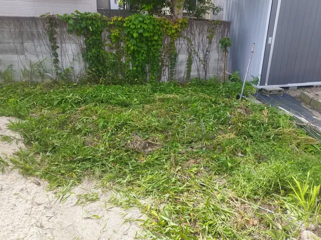 【山口県発】下関、岩国も対応致します！　伐採・抜根でお庭をスッキリ、安全に。サービスの画像