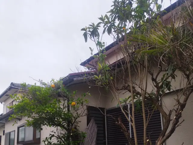 【山口県発】下関、岩国も対応致します！　伐採・抜根でお庭をスッキリ、安全に。サービスの画像