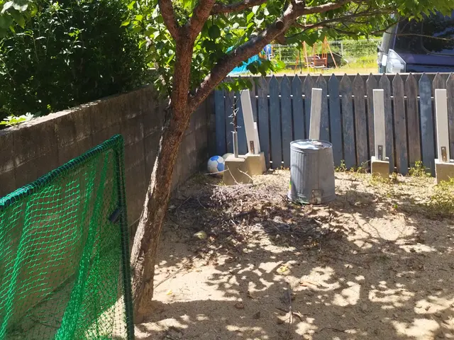 【山口県発】下関、岩国も対応致します！　伐採・抜根でお庭をスッキリ、安全に。サービスの画像