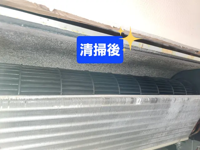 高圧洗浄機で徹底洗浄◎徹底養生◎汚水持ち帰り◎床に直接物置きません◎保険加入◎サービスの画像