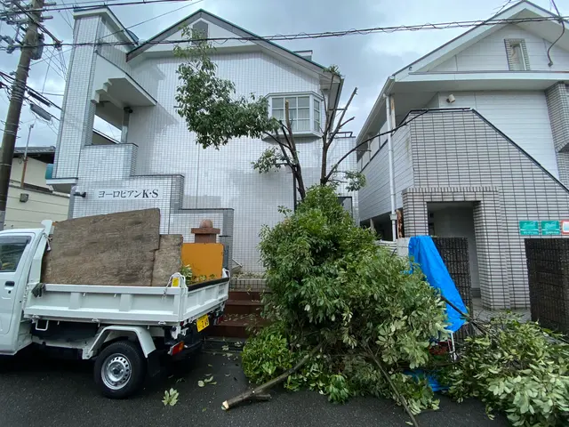 寝屋川市で園芸店店長の実績がある私にお任せ下さい◎一緒にお庭を育てましょうサービスの画像