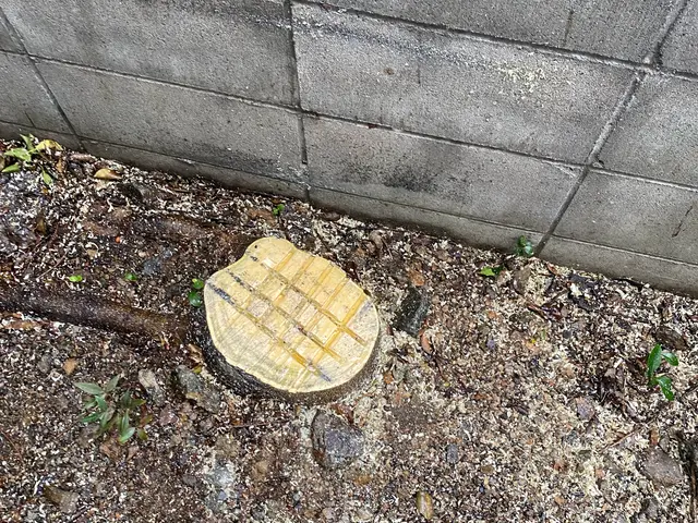 寝屋川市で園芸店店長の実績がある私にお任せ下さい◎一緒にお庭を育てましょうサービスの画像