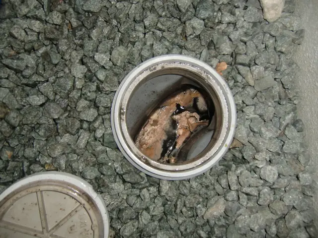 水回りのお悩みすべて解決！丁寧・迅速・安心の三拍子そろったプロフェッショナル集団サービスの画像