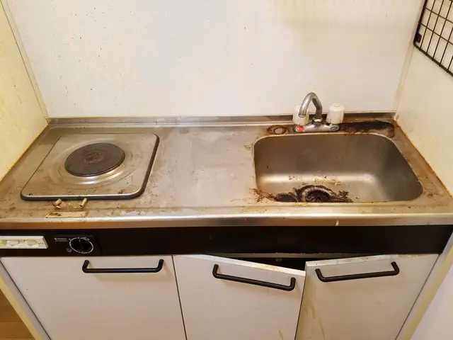 ★業界歴20年★油積もる前にお掃除❢ハウスクリーニング年間実績1500部屋以上↑サービスの画像