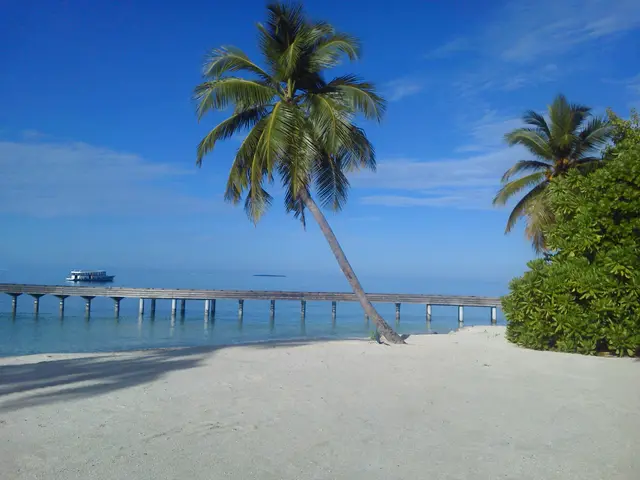 会社の広報活動、記録等全ての撮影を承ります。