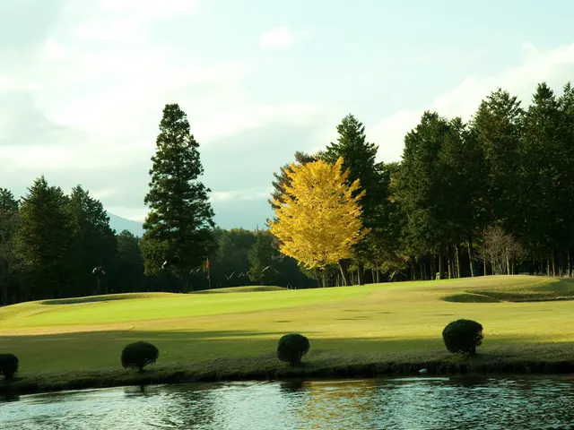 会社の広報活動、記録等全ての撮影を承ります。