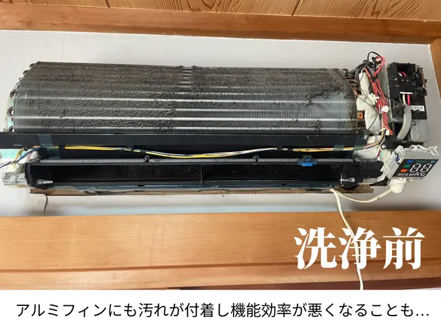 表からは見えないカビを撃退！エアコンを徹底洗浄して健やかな生活をお届けします！サービスの画像