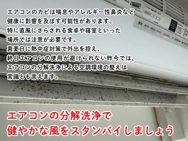 表からは見えないカビを撃退！エアコンを徹底洗浄して健やかな生活をお届けします！サービスの画像