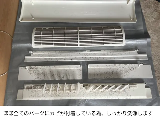 表からは見えないカビを撃退！エアコンを徹底洗浄して健やかな生活をお届けします！サービスの画像