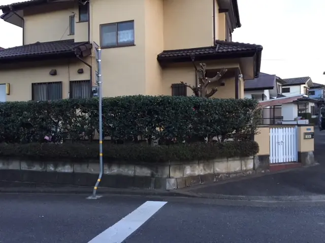 経験豊富なプロがお伺い！庭木１本の剪定から伐採処分までなんでもやります！サービスの画像