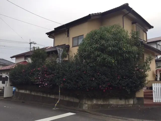 経験豊富なプロがお伺い！庭木１本の剪定から伐採処分までなんでもやります！サービスの画像