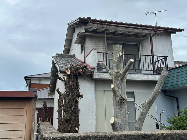 ☆夏にスッキリ庭などの樹木が大きくなりすぎた！庭木の枝が隣家まで伸びてしまった！サービスの画像