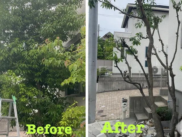 ☆夏にスッキリ庭などの樹木が大きくなりすぎた！庭木の枝が隣家まで伸びてしまった！サービスの画像