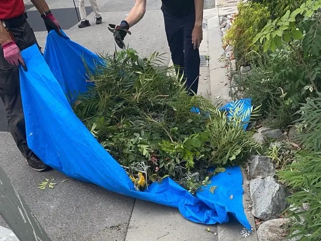 ☆夏にスッキリ庭などの樹木が大きくなりすぎた！庭木の枝が隣家まで伸びてしまった！サービスの画像