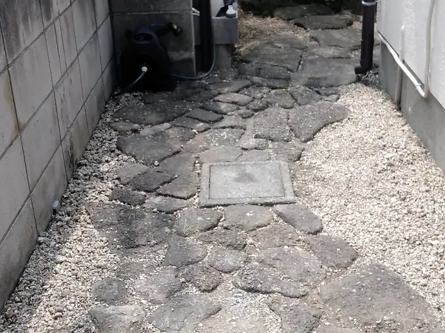 千葉県◆年中無休★素敵なお庭作りは、先ず草むしりから、腰や膝を傷める前にお電話をサービスの画像