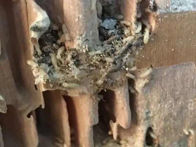 【地域密着店】スタッフ一同、心を込めて誠心誠意対応いたします！サービスの画像