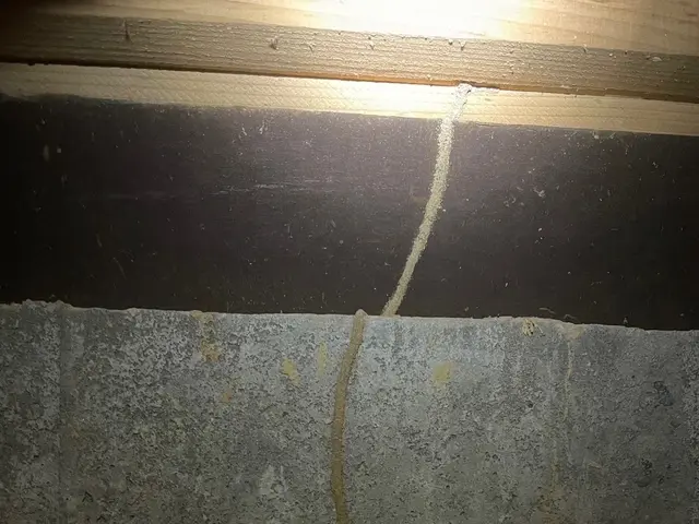 【地域密着店】スタッフ一同、心を込めて誠心誠意対応いたします！サービスの画像