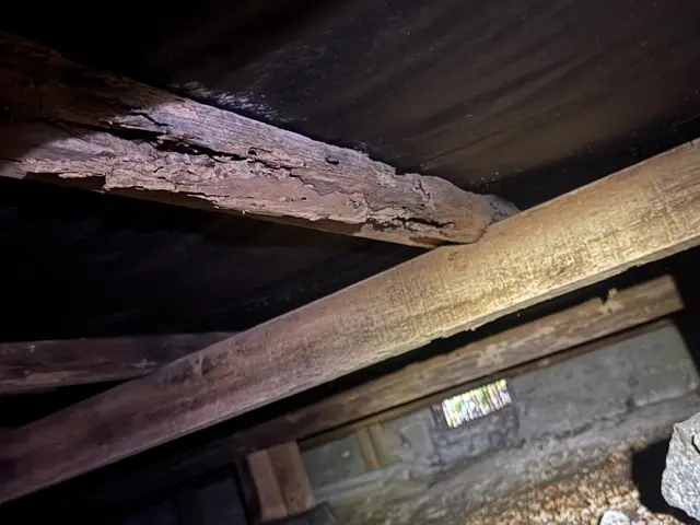 【地域密着店】スタッフ一同、心を込めて誠心誠意対応いたします！サービスの画像