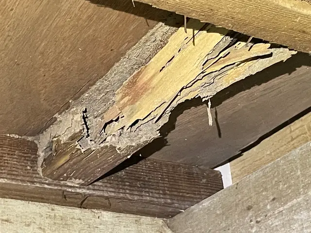 【地域密着店】スタッフ一同、心を込めて誠心誠意対応いたします！サービスの画像