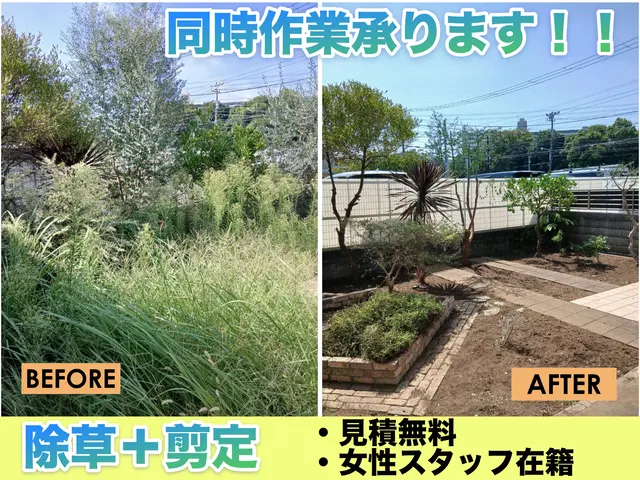 【根っこからしっかり除去！！】はなまる品質の草むしり！サービスの画像