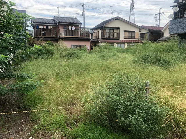 ちょっとした木の伐採に柔軟に対応します！！手のこぎり対応で、騒音のご心配は不用。サービスの画像