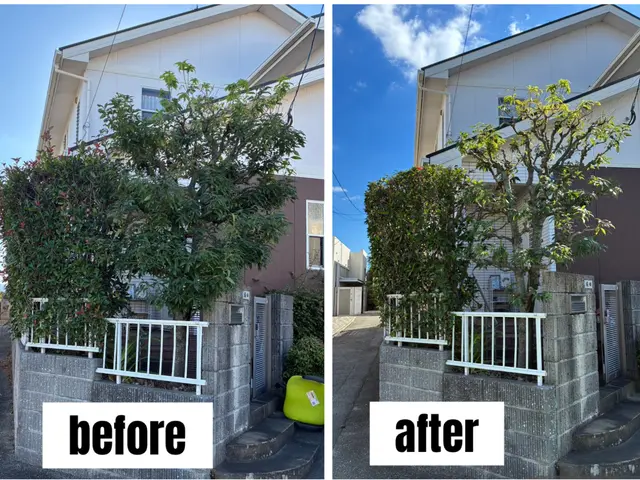 あなたの庭に添った庭づくり　造園歴15年の庭師在籍！　確かな剪定をお届けします♪サービスの画像