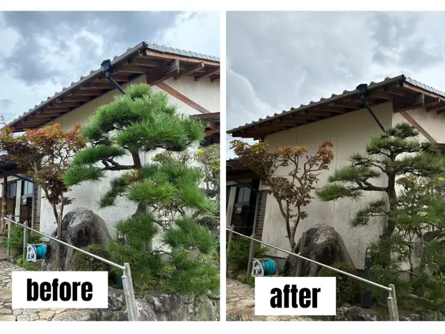 あなたの庭に添った庭づくり　造園歴15年の庭師在籍！　確かな剪定をお届けします♪サービスの画像