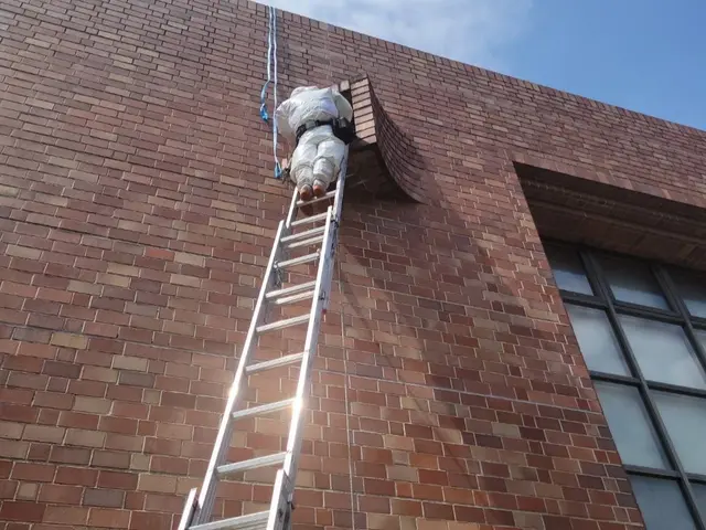 【蜂駆除】当日予約・当日作業可能ですのでまずはお問合せ下さい。即返信致しますサービスの画像