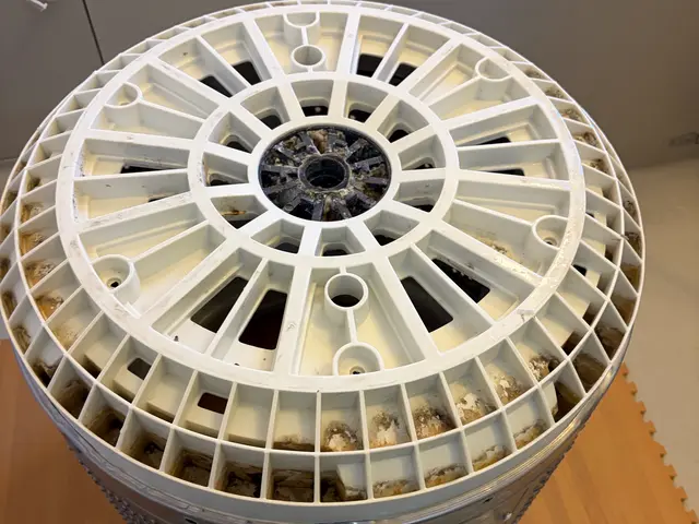 カビ・雑菌・洗剤カスをスッキリ除去！サービスの画像