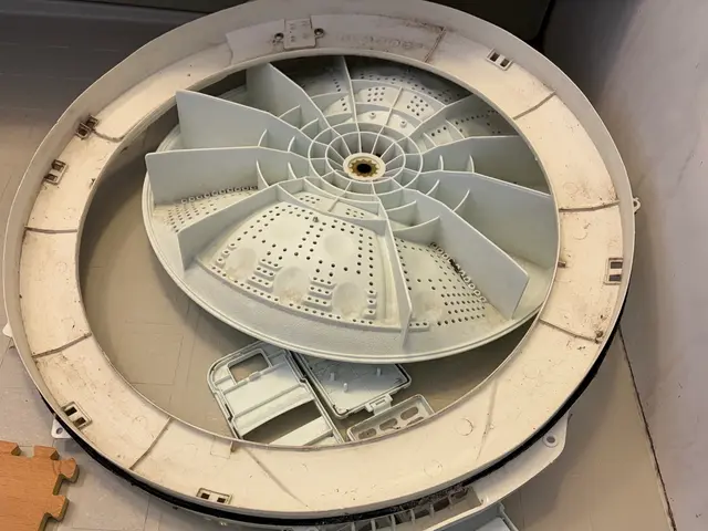 カビ・雑菌・洗剤カスをスッキリ除去！サービスの画像