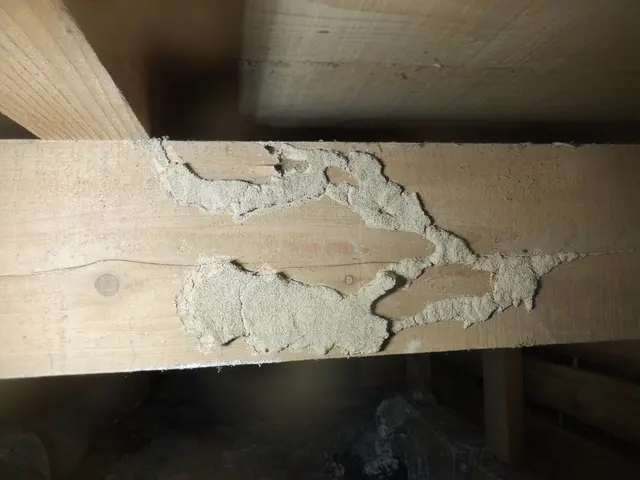 業界10年以上★安心の5年保証！ペットや小さいお子様も安心◎損害保険加入済み◎サービスの画像