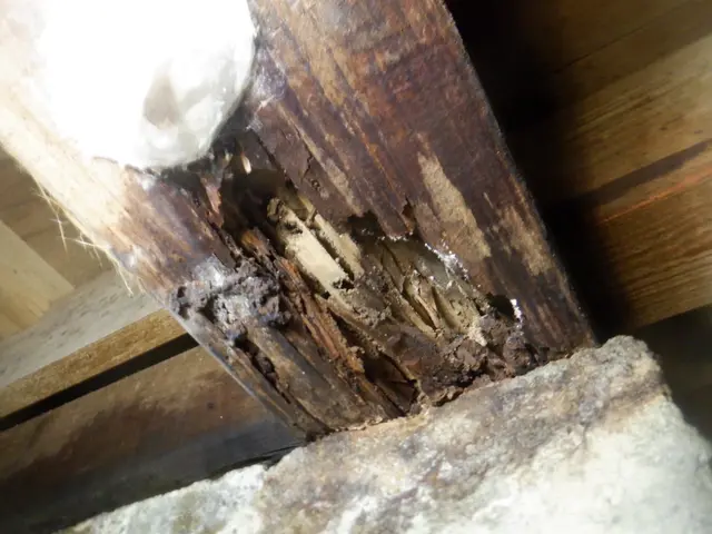 業界10年以上★安心の5年保証！ペットや小さいお子様も安心◎損害保険加入済み◎サービスの画像