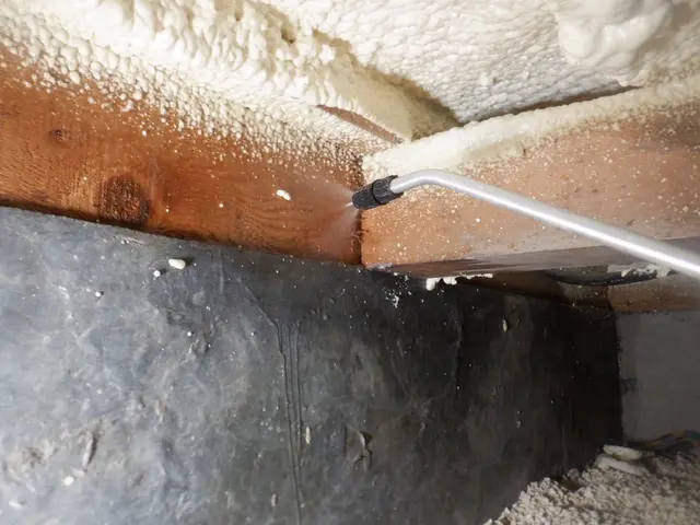 業界10年以上★安心の5年保証！ペットや小さいお子様も安心◎損害保険加入済み◎サービスの画像