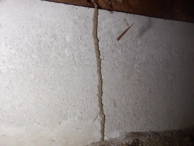 業界10年以上★安心の5年保証！ペットや小さいお子様も安心◎損害保険加入済み◎サービスの画像