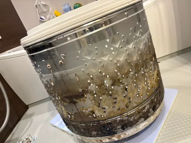 【11月限定！洗濯パン無料清掃！】豊富な作業実績◎カビ汚れを徹底洗浄!!サービスの画像