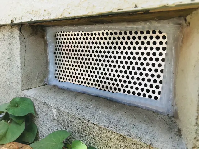 【即日対応可能】すべて自社対応◎ネズミ駆除はお任せください！ご相談からどうぞ♪サービスの画像