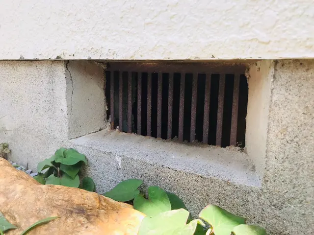 【即日対応可能】すべて自社対応◎ネズミ駆除はお任せください！ご相談からどうぞ♪サービスの画像