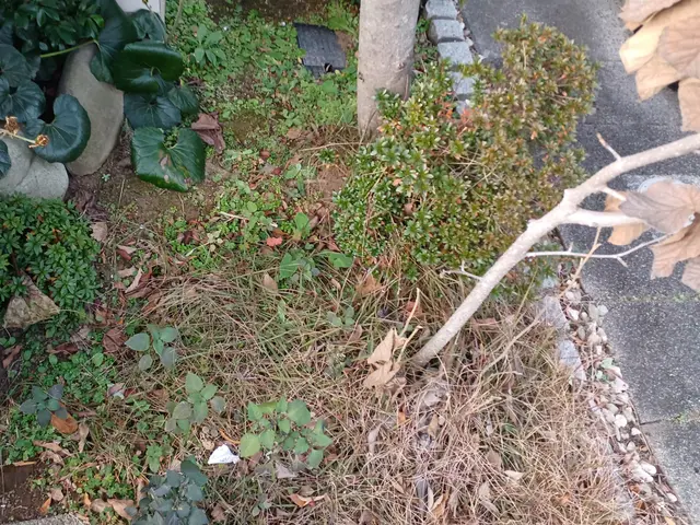 プロの技術でご満足いただけるように心を込めて作業いたしますサービスの画像