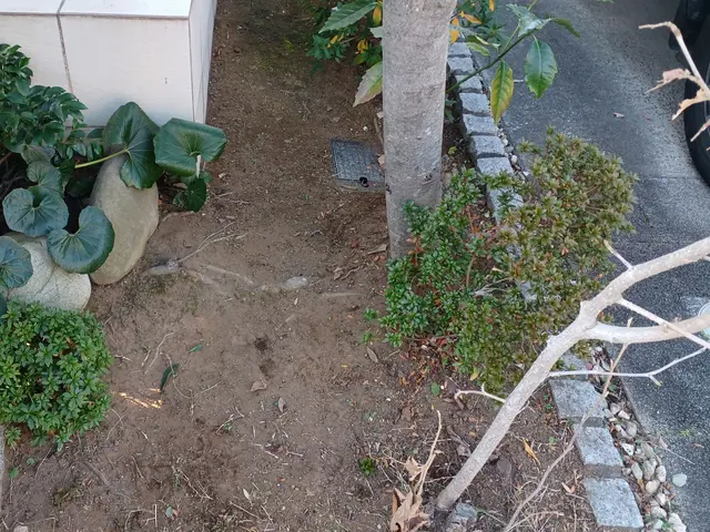 プロの技術でご満足いただけるように心を込めて作業いたしますサービスの画像