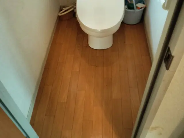 ハウスクリーニング/在宅中サービスの画像