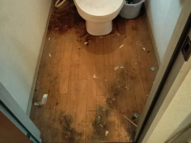 ハウスクリーニング/在宅中サービスの画像