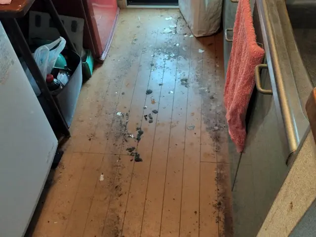 ハウスクリーニング/在宅中サービスの画像