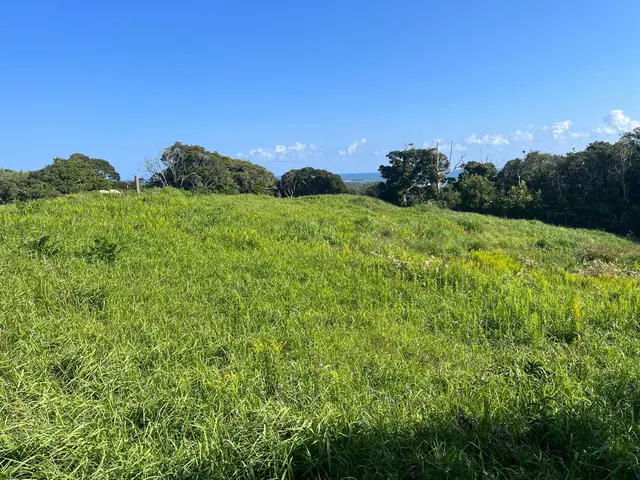 お客様のお力になります！経験と知識を活かして迅速丁寧に作業いたします！サービスの画像