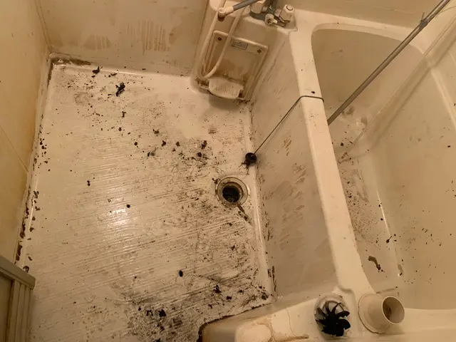 【地域密着☆】水回りの汚れを徹底洗浄★月20件以上の作業実績あり★損害保険加入サービスの画像