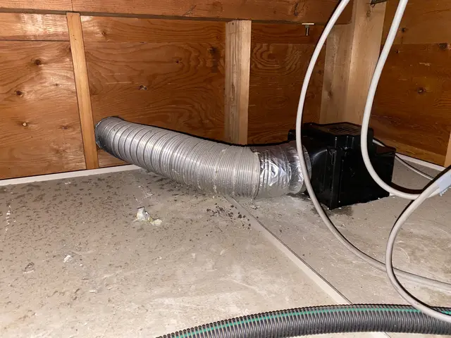 【三つ子パパが代表！】どんな人が来るか不安…20代の若さと元気でお客様に安心を！サービスの画像