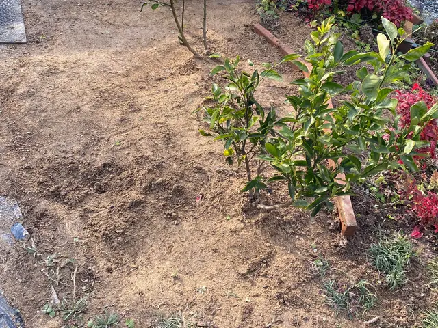 100件以上の実績！納得いくまでとことん丁寧に仕上げますサービスの画像